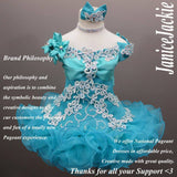 (#239) Off shoulder flare glitz national pageant dress. (sea green) not include necklace