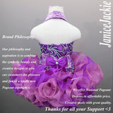 (#251) Halter flat glitz national pageant dress. (purple)